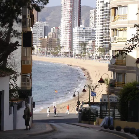 Aries - ベニドルム